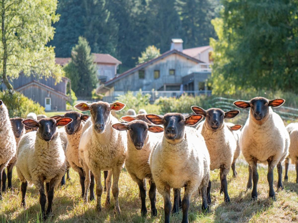 Auberge De La Poulciere Gerardmer Luaran gambar