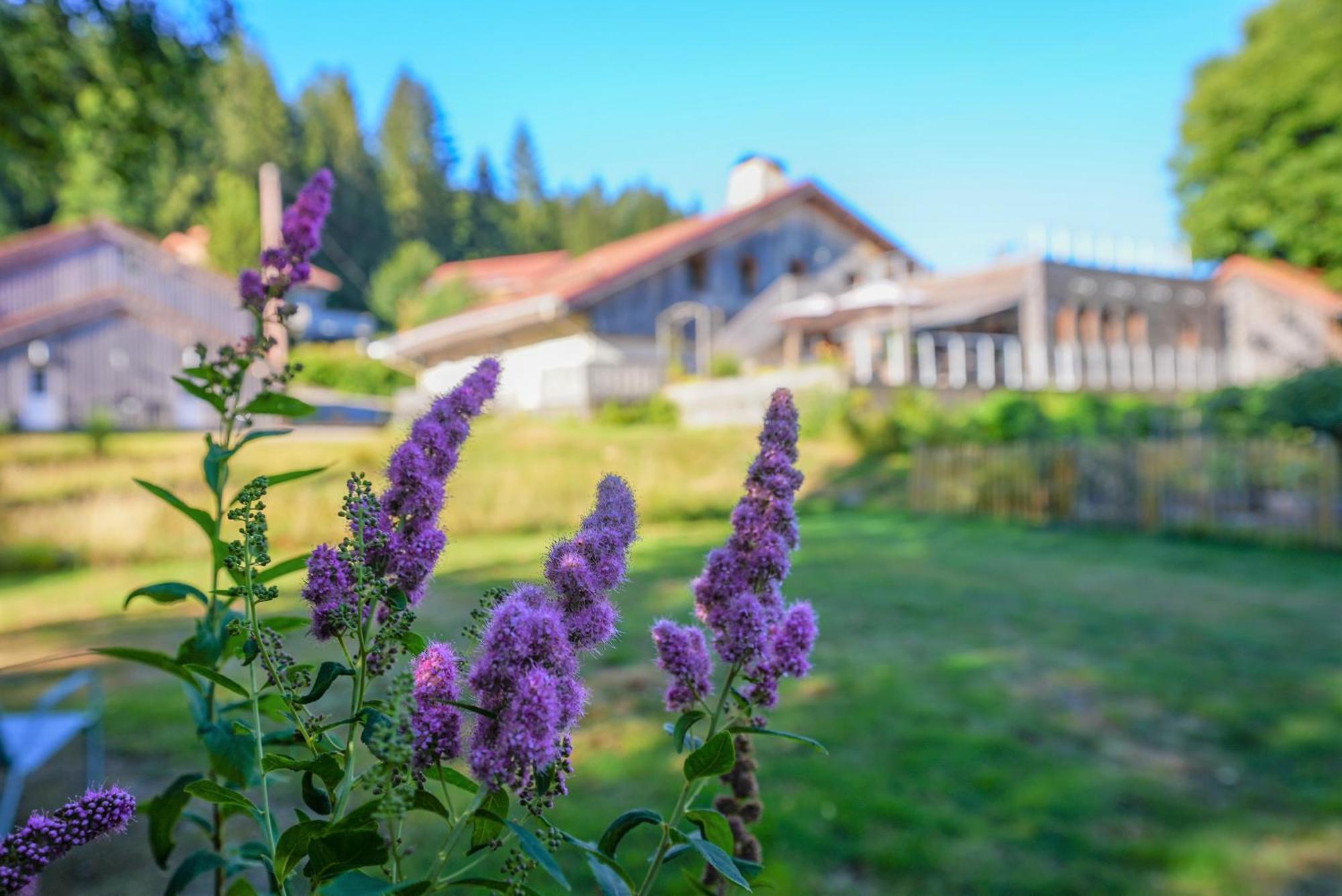 Auberge De La Poulciere Gerardmer Luaran gambar